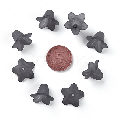 Transparent Acrylic Beads PLF018-17-1
