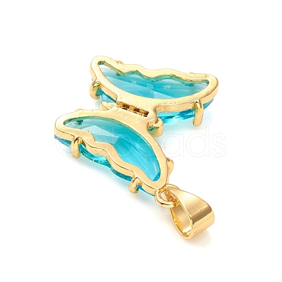 Glass Pendants X-GLAA-G075-01G-07-1