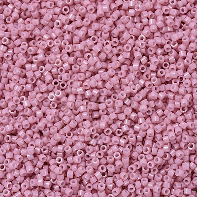 MIYUKI Delica Beads X-SEED-J020-DB1906-1