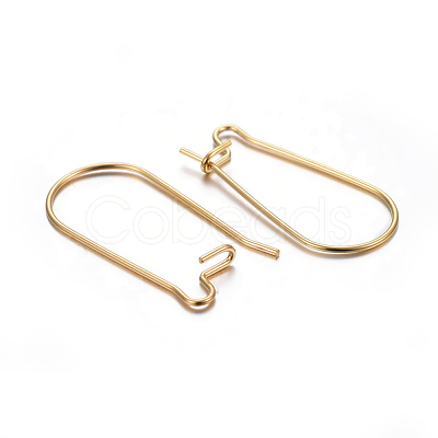 304 Stainless Steel Hoop Earring Findings STAS-P223-01G-02-1