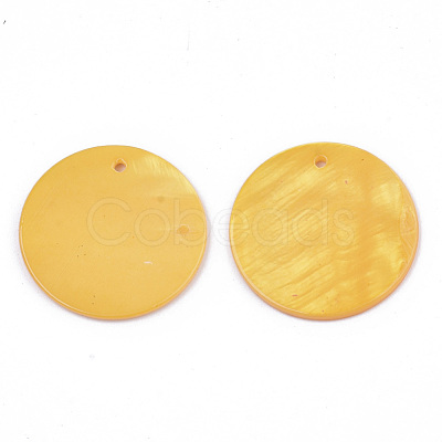Natural Freshwater Shell Pendants SHEL-R022-01E-1