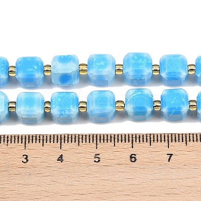 Natural Howlite Beads Strands G-C025-01B-1