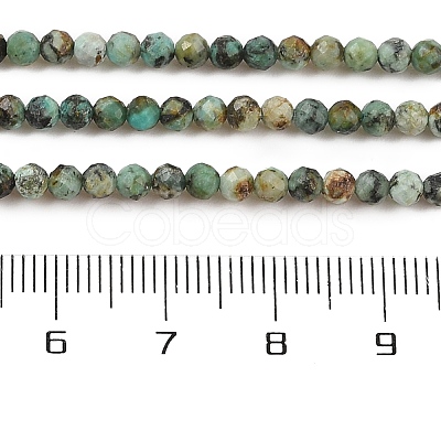 Natural African Turquoise(Jasper) Beads Strands G-P472-01-1