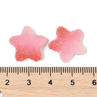 Imitation Candy Food Style Resin Cabochons RESI-R461-02J-1