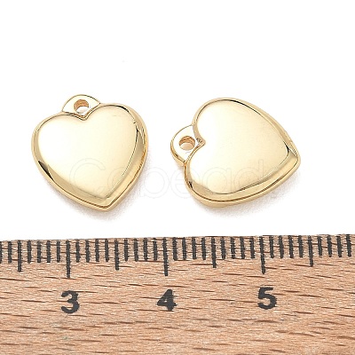 304 Stainless Steel Charms SA-CBA3037-20G-05-1