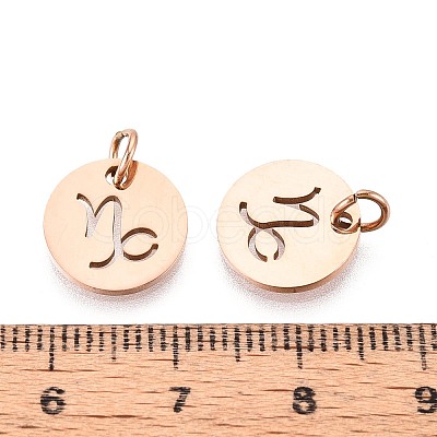 304 Stainless Steel Charms STAS-Q201-T445-10R-1