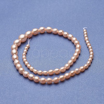 Natural Cultured Freshwater Pearl Graduated Beads Strands PEAR-P060-05B-01-1