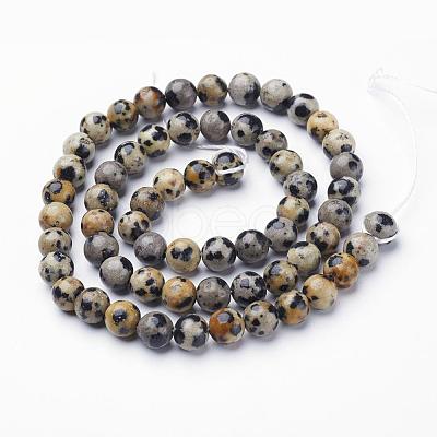 Natural Dalmatian Jasper Beads Strands X-GSR6mmC004-1