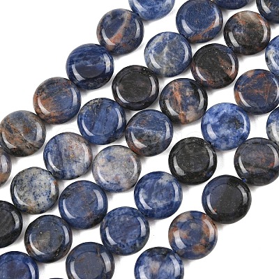 Natural Sodalite Beads Strands G-L648-B07-15mm-1