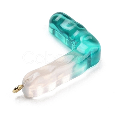 Resin Pendant FIND-Q107-01L-02-1