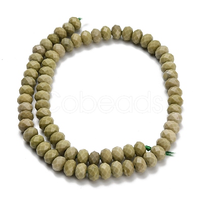 Natural Alashan Agate Beads Strands G-Z111-A39-02-1