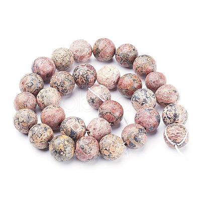 Natural Red Leopard Skin Jasper Beads Strands GSR12mmC066-1