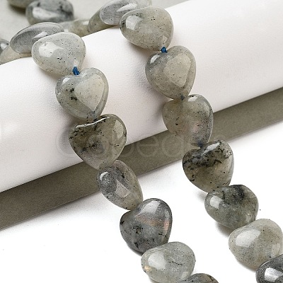 Natural Labradorite Beads Strands G-B022-32C-1