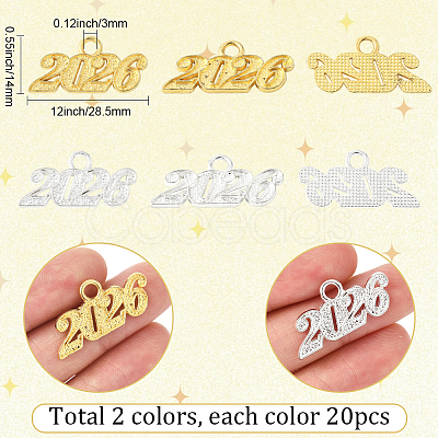40Pcs 2 Colors Alloy Pendants FIND-SC0020-50-1