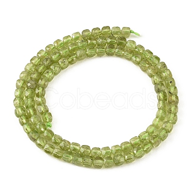 Natural Peridot Beads Strands G-K376-D03-4x4mm-1
