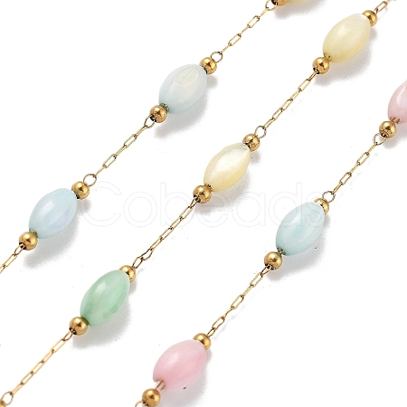 Shell & 304 Stainless Steel Oval Beads Link Chains CHS-K021-09G-05-1