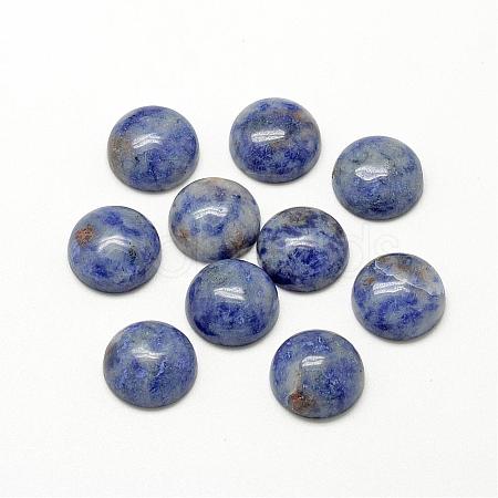 Natural Blue Spot Jasper Cabochons G-R416-20mm-45-1
