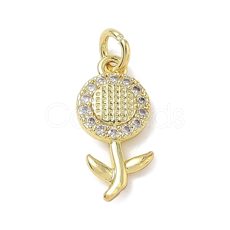 Brass with Rhinestone Pendants KK-CBAD872-01G-05-1