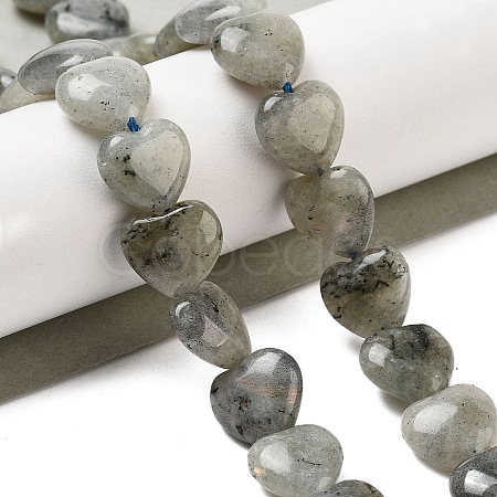 Natural Labradorite Beads Strands G-B022-32C-1