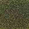 TOHO 11/0 Round Beads X-SEED-TR11-0457-2