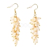 Natural Trochid Shell/Trochus Shell Cluster Earrings EJEW-JE04348-1