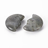 Natural Labradorite Beads G-T132-030-3