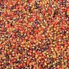 MIYUKI Delica Beads X-SEED-J020-DB2063-3