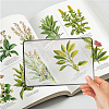 8Pcs PVC Page Magnifying Bookmarks AJEW-SP0002-33-7