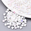 FGB 2-Hole Glass Seed Beads SEED-S031-L-ST41-R-1