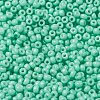 MIYUKI Round Rocailles Beads X-SEED-G008-RR4472-3