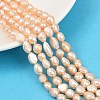 Natural Cultured Freshwater Pearl Beads Strands PEAR-P064-20J-03B-1