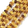 Natural Amber Beads Strands G-L095-E01-03-2