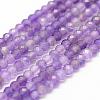 Natural Amethyst Beads Strands G-F460-50-1