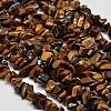 Chip Natural Tiger Eye Beads Strands X-G-N0134-09-1