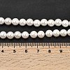 Electroplated Shell Pearl Beads Strands BSHE-K017-6mm-4