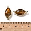 Natural Tiger Eye Faceted Connector Charms G-K347-03G-20-3