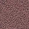 11/0 FGB Grade A Baking Paint Glass Seed Beads X-SEED-N001-A-1047-2