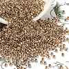 TOHO 3/0 Round Beads SEED-TR03-0989-1