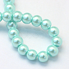 Baking Paint Pearlized Glass Pearl Round Bead Strands X-HY-Q003-4mm-45-4