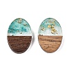 Transparent Resin and Walnut Wood Pendants RESI-T057-04I-2