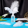 20Pcs 2 Styles Ostrich Feather Costume Accessories FIND-TA0005-96-9
