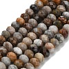 Natural Gobi Agate Beads Strands G-Z111-A55-3