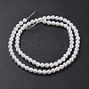 Shell Pearl Bead Strands BSHE-P023-3mm-2