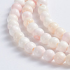 Natural Pink Shell Beads Strands LS-SSHEL-L016-18C-2