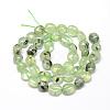 Natural Prehnite Beads Strands G-R445-8x10-25-2
