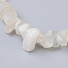 Natural White Moonstone Stretch Bracelets X-BJEW-JB03681-09-2