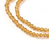 Transparent Glass Beads Strands GLAA-F094-A12-3