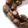 Natural Picture Jasper Beads Strands G-G146-A01-01-4