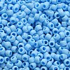 TOHO 6/0 Round Beads SEED-XTR06-0403F-4