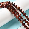 Natural Red Snakeskin Jasper Beads Strands G-H298-A02-02-2